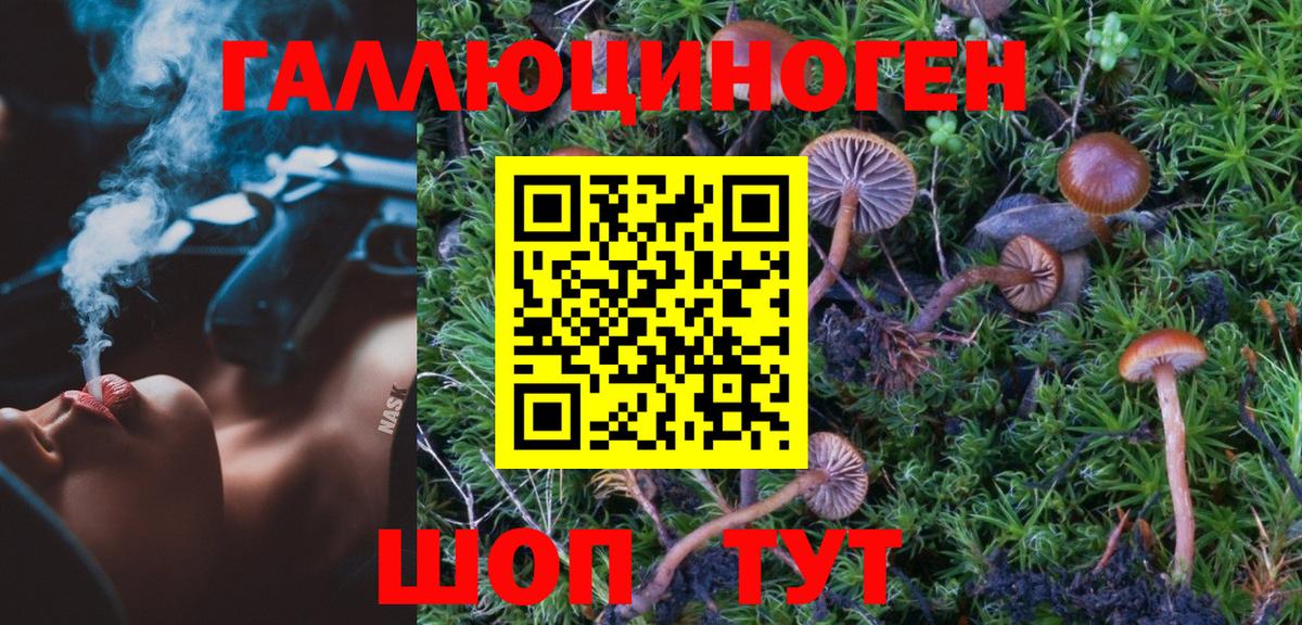 Кемерово  Галлюциногенные грибы мицелий  Вход с VPN 