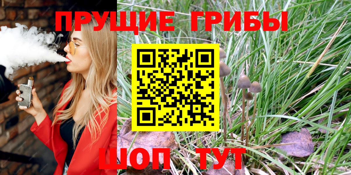 Псилоцибиновые грибы MAGIC MUSHROOMS Кемерово